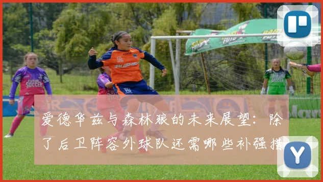 爱德华兹与森林狼的未来展望：除了后卫阵容外球队还需哪些补强措施
