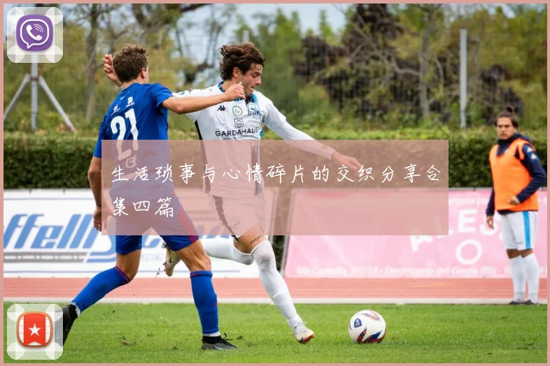 生活琐事与心情碎片的交织分享合集四篇